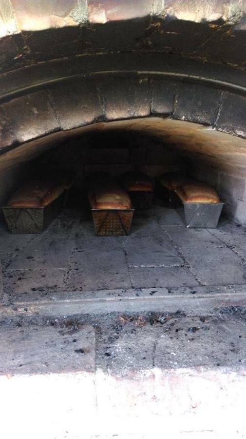 Dom Goscinny Ogluszka Pilec Esterno foto